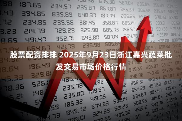 股票配资排排 2025年9月23日浙江嘉兴蔬菜批发交易市场价格行情