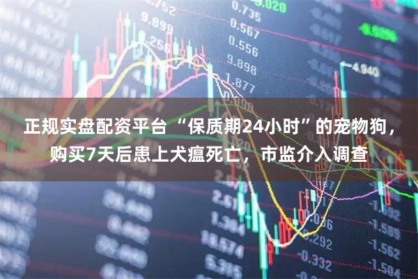 正规实盘配资平台 “保质期24小时”的宠物狗，购买7天后患上犬瘟死亡，市监介入调查