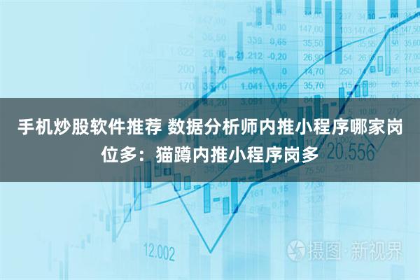 手机炒股软件推荐 数据分析师内推小程序哪家岗位多：猫蹲内推小程序岗多